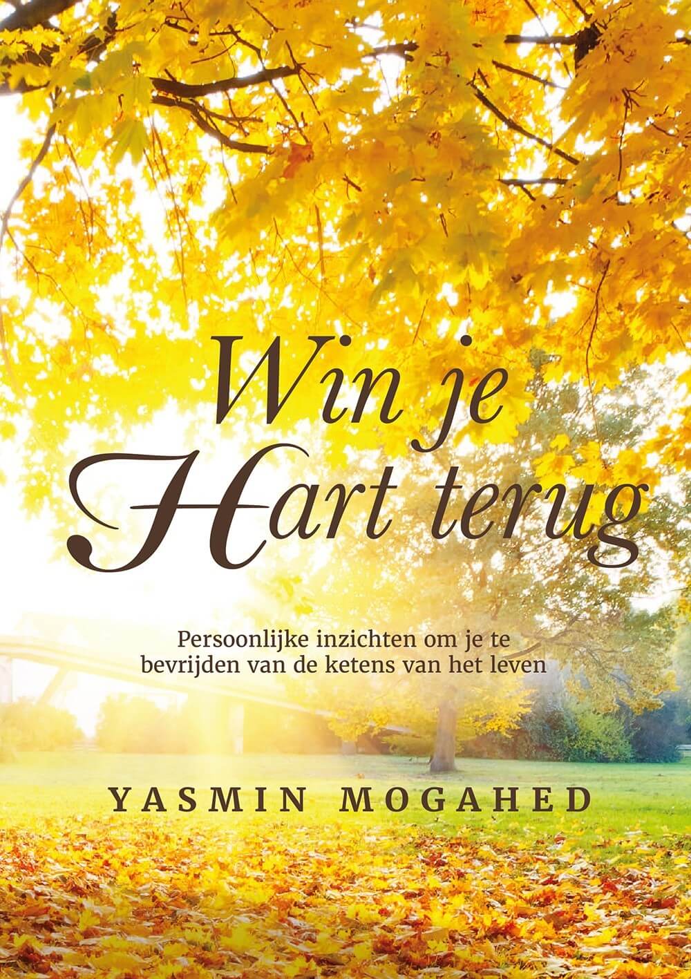 Win je hart terug -reclaim your hart - T Kennishuys